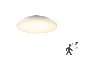 Produktbild EVN L25120125BM LED Anbauleuchte m  Bewegungsmelder