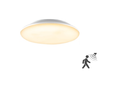 Produktbild EVN L30180125BM LED Anbauleuchte m  Bewegungsmelder