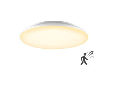 Produktbild EVN L40300125BM LED Anbauleuchte m  Bewegungsmelder