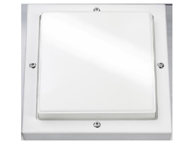 Produktbild SG Leuchten 611187 LED Aussenleuchte 3000K  weiss