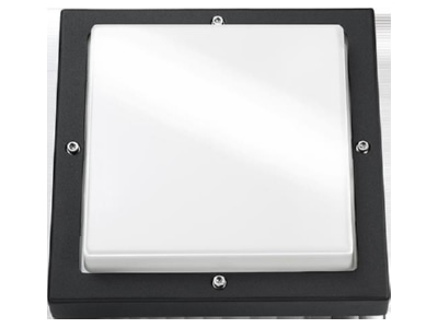 Produktbild SG Leuchten 614197 Wandleuchte Basso schwarz opal 2x E27 CFL 33W    Aktionsartikel