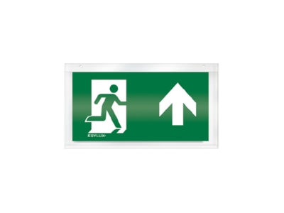 Product image ESYLUX SLX32DIS  EN10032509 Acrylic plate for emergency luminaire SLX32DIS EN10032509
