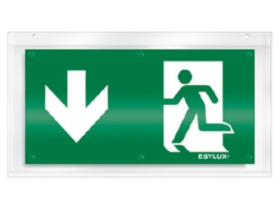 Produktbild ESYLUX SLX32DIS  EN10079023 Piktogrammscheibe 1 seitig PU EN10079023