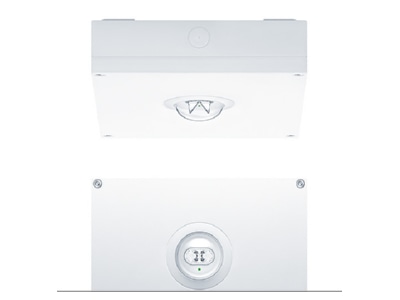 Product image Zumtobel RESCLITE P  42185743 Emergency luminaire 4 7W IP65
