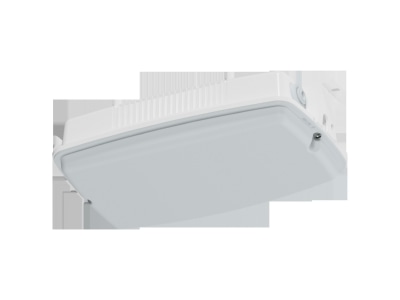 Product image Schuch 3611 L10 ZB Emergency luminaire 10W IP65
