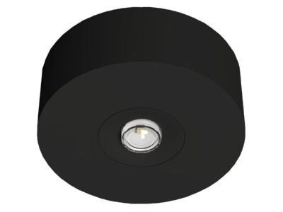 Produktbild RP Technik EARL421SC AZ LED Sicherheitsleuchte Decke  Linsen  rund