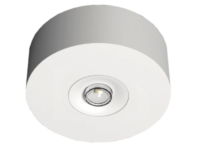 Produktbild RP Technik EARL421WL LED Sicherheitsleuchte Decke  Linsen  rund