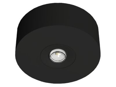 Produktbild RP Technik EARL423SC AZ LED Sicherheitsleuchte Decke  Linsen  rund