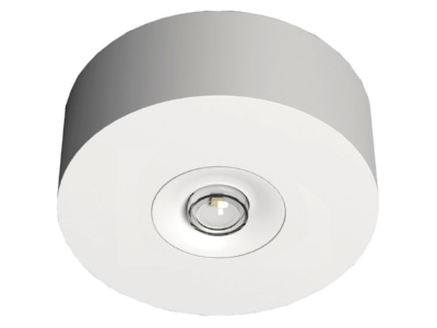 Produktbild RP Technik EARL428SC LED Sicherheitsleuchte Decke  Linsen  rund