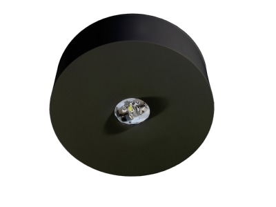 Produktbild RP Technik ILDL423SC SW LED Sicherheitsleuchte Decke  Linsensystem