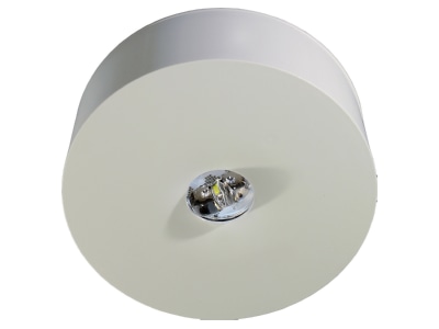 Produktbild RP Technik ILDL428WL LED Sicherheitsleuchte Decke  Linsensystem
