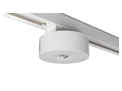 Produktbild RP Technik ILDL423SC 3P Sicherheitsleuchte EB 3h  weiss