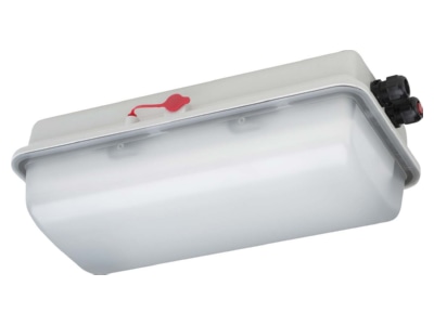 Produktbild Schuch e855F L05 ZB EX LED Notleuchte 6500K