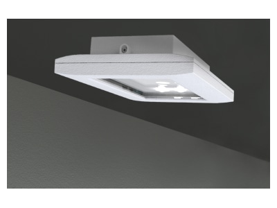 Produktbild RP Technik FMDS421SC LED Sicherheitsleuchte EB 1h  SC