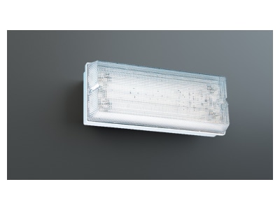 Produktbild RP Technik PFW411SC LED Rettungszeichenleuchte EB 1h  SC