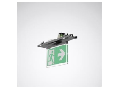Produktbild 1 Trilux 78 SNP 20m  8448500 Notlichtbaustein