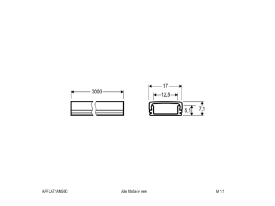Dimensional drawing EVN APFLAT1AM300 Cable duct for luminaires