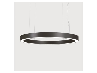 Produktbild Lightnet RP3ABL 840M D2000 K LED Pendelleuchte 4000K  schwarz