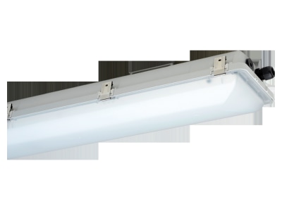 Product image Schuch e865F 06L60 DIMD Explosion proof luminaire fixed mounting
