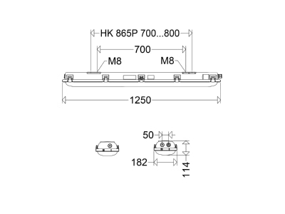 Dimensional drawing Schuch e865F 12L42 H65 Explosion proof luminaire fixed mounting
