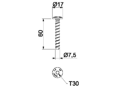 Mazeichnung 1 OBO MMS  MS 7 5x60 Montageschienenanker 7 5x60mm m Panhead