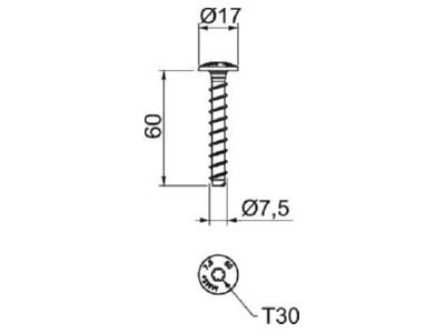 Mazeichnung 2 OBO MMS  MS 7 5x60 Montageschienenanker 7 5x60mm m Panhead