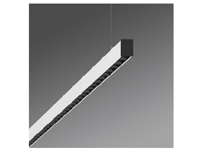 Produktbild Regiolux agila A  60612036670 LED Pendelleuchte 3000K DALI agila A 60612036670