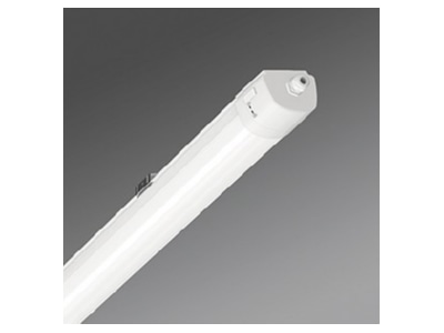 Produktbild Regiolux pirola   50122024100 LED Feuchtraumleuchte 4000K pirola  50122024100