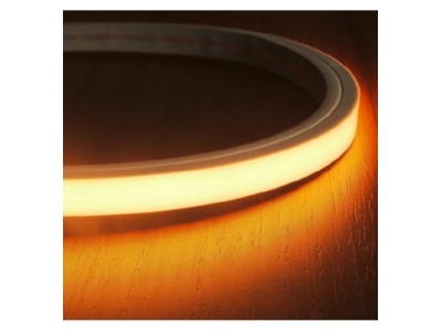 Detailed view Brumberg 19581003 Light ribbon  hose  strip 24V white