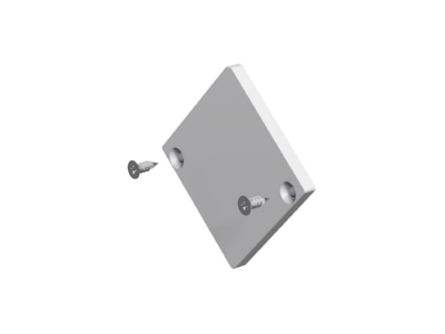 Product image EVN APEXLEAPQ Mechanical accessory for luminaires
