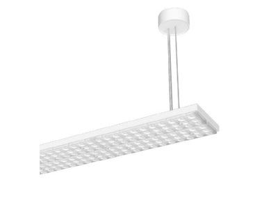 Produktbild LTS LUZD23105840BWDALIws LED Pendelleuchte 840  DALI  ws