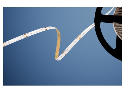 Product image Barthelme 51542840 Light ribbon  hose  strip 24V white
