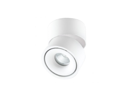 Product image EVN AS20130125 Wall and ceiling light 
