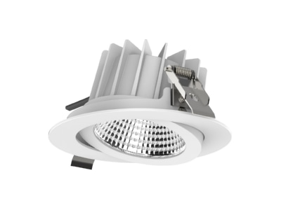 Product image EVN P54250125 Downlight spot floodlight
