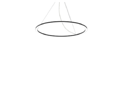 Product image Siteco 5PJBD3D3104A Pendant luminaire LED not exchangeable
