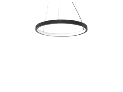 Product image Siteco 5PJBI3D1104A Pendant luminaire LED not exchangeable
