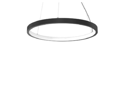 Product image Siteco 5PJBI4D1104A Pendant luminaire LED not exchangeable
