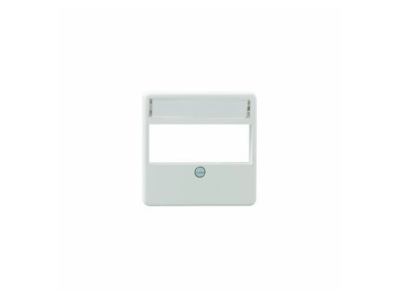 Product image 1 Rutenbeck ZSt UM MA 3 pws Cover plate Modular Jack
