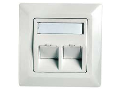 Produktbild Telegaertner H02010A0040 Modul Aufnahme 2 fach 80x80  aws