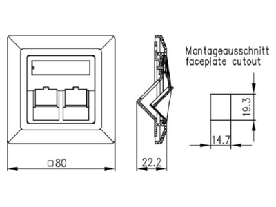 Mazeichnung Telegaertner H02010A0040 Modul Aufnahme 2 fach 80x80  aws