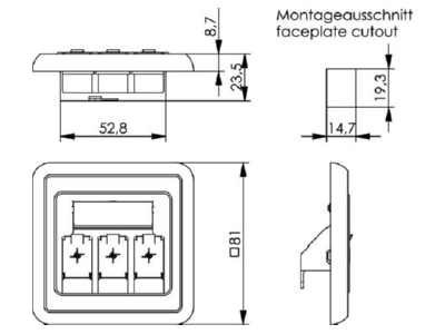Mazeichnung Telegaertner H02010A0053 Modul Aufnahme 3 fach 80x80  aws
