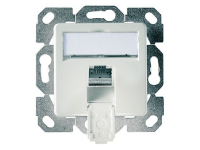 Produktbild Telegaertner J00020A0505 AMJ45 8 Up 50 Cat 6A alpinweiss
