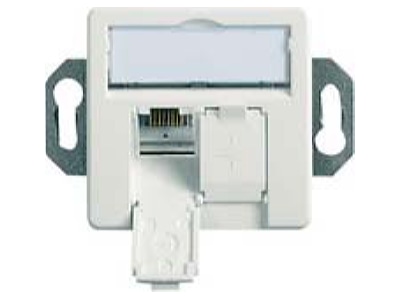 Product image Telegaertner J00020A0503 RJ45 8 8  Data outlet 6A  IEC  white
