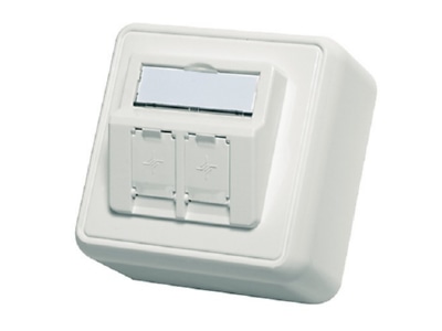 Produktbild Telegaertner H02000A0092 Modul Aufnahme AP 80x80 2fach aws leer