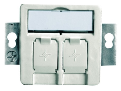 Produktbild Telegaertner H02010A0081 Modul Aufnahme 2fach UP 50 aws leer f BR