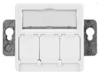 Product image Telegaertner 100021419 Twisted pair Data outlet white
