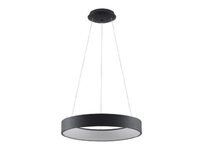 Product image Brumberg 57429183 Pendant luminaire 1x38W
