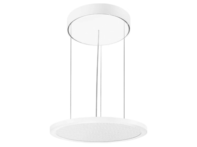 Produktbild Performance in Light 8333261266410 LED Pendelleuchte 4000K DALI