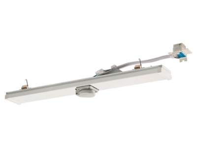 Product image Ridi Leuchten VLMF ST 500 5 Socket outlet element for luminaires
