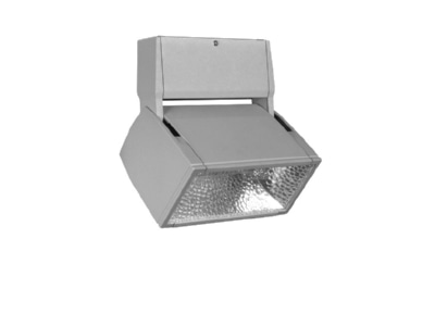 Product image LTS EL 303 30 4 si Downlight spot floodlight 1x34W
